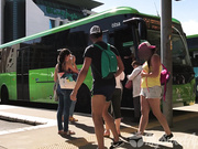 MySweetApple's Risky Bus Blowjob Frenzy! 🍆💦🔥